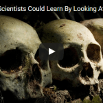 Amazing Everything Scientists Could Learn By Looking At Your Skull