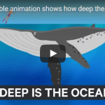 incredible animation shows how deep the ocean really is