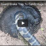 Electric Fan Guard Snake Trap To Catch Huge Snake