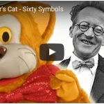 Schrödingers Cat video