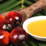 Palm Oil vs Coconut Oil Health Benefits