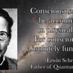 What is CONSCIOUSNESS The Case for the Quantum Soul