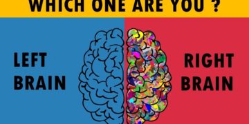 Are You Right Or Left Brain Dominance Personality Test