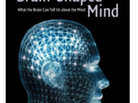 Book The brain shaped mind what the brain can tell us about the mind