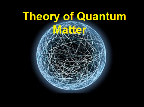 Theory of Quantum Matter Unit at the Okinawa Institute of Science and Technology Graduate University