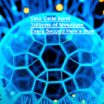 Your Cells Send Trillions of Messages Every Second Here’s