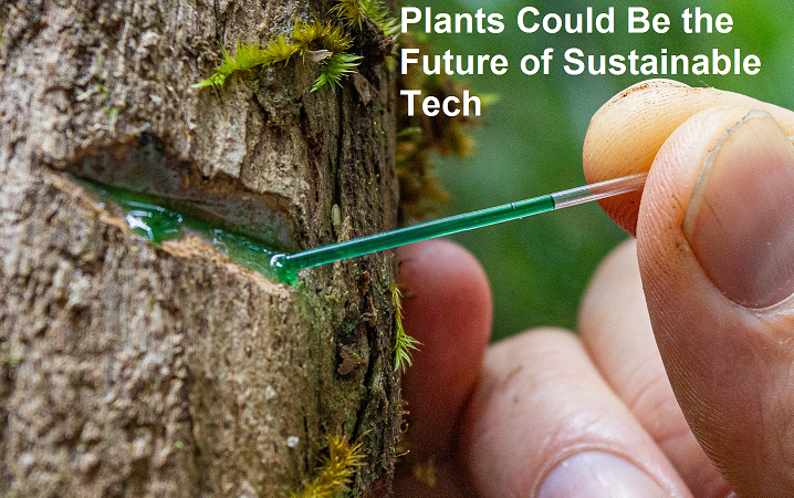 Farming Metal From Plants Could Be the Future of Sustainable Tech