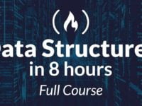 Data Structures Easy to Advanced Course