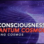 Consciousness and Quantum Cosmology