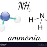The Uses of Ammonia Reactions Chemistry