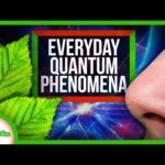 How Quantum Mechanics Affects Your Life