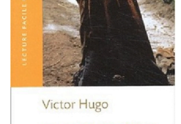 Livre roman Les Misérables Tome I Fantine de Victor Hugo pdf