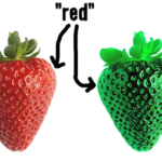 Is Your Red The Same as My Red? 3 Is Your Red The Same as My Red