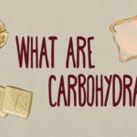 How do carbohydrates impact your health