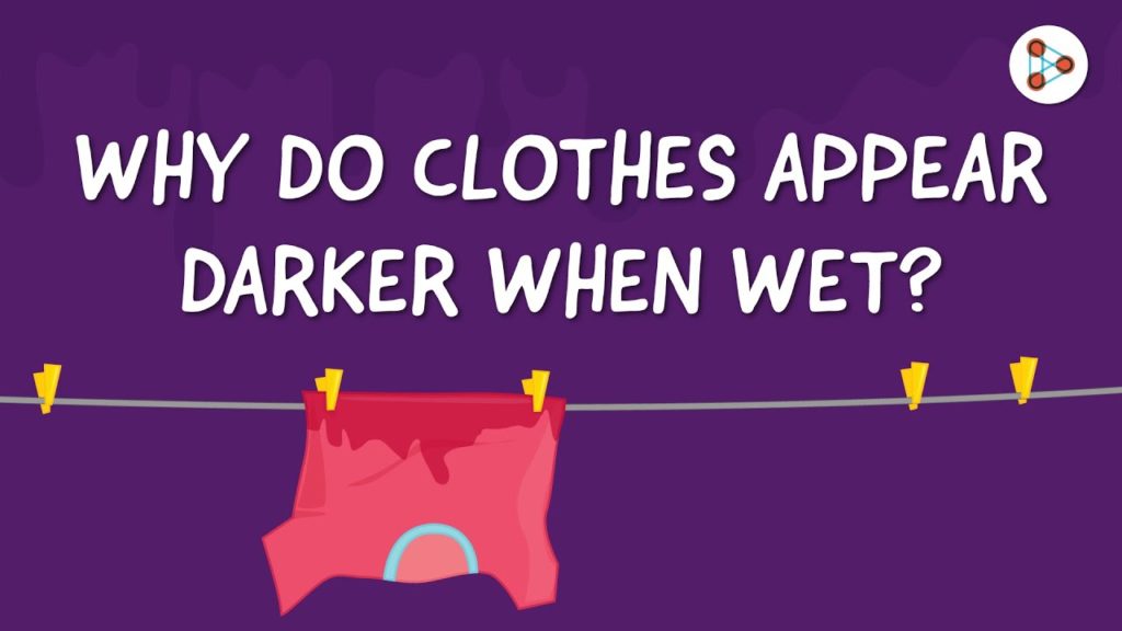 Why do clothes appear darker when wet?  Education