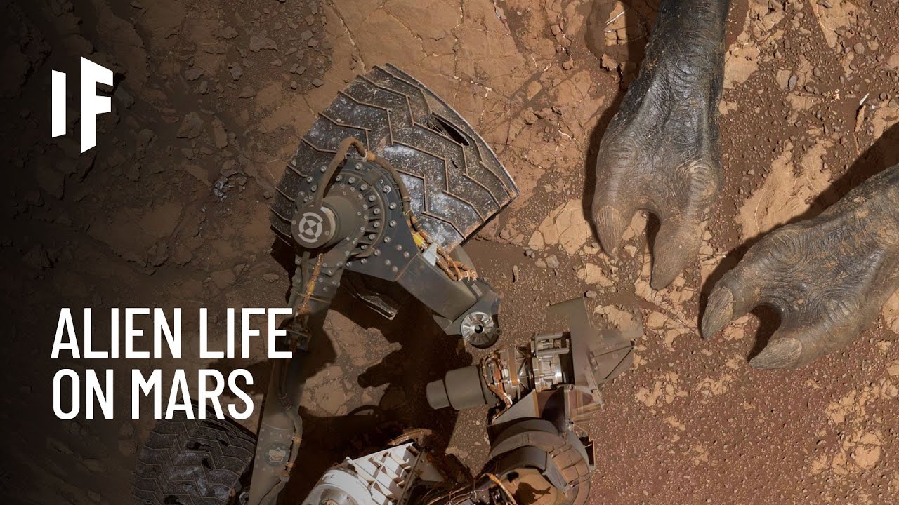 Discovered Alien Life on Mars