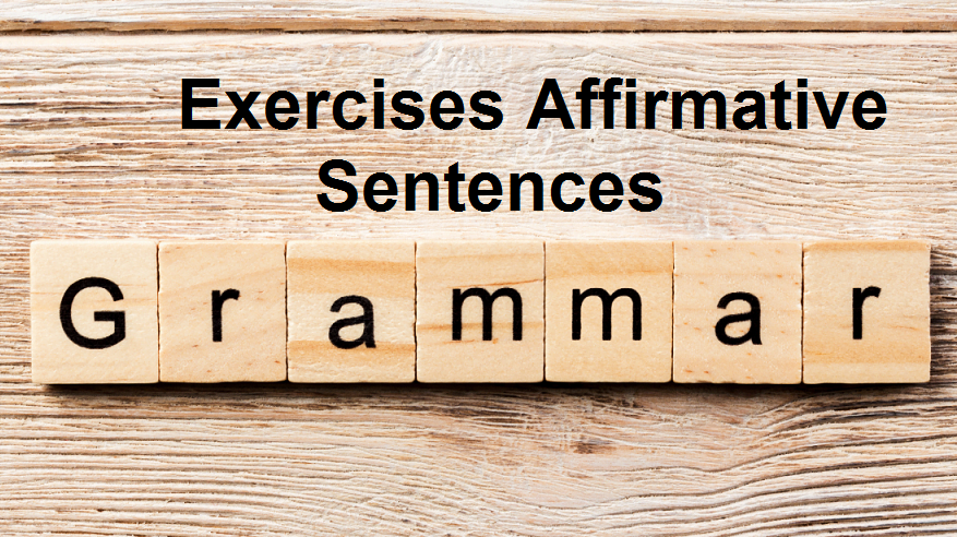 Easy English Grammar Exercises Affirmative Sentences Have Has and Possessive Adjectives