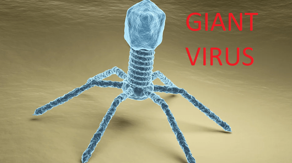 This Virus Shouldnt Exist But it Does