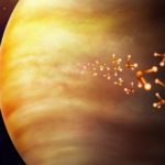Find out what researchers have found that may point to life on Venus