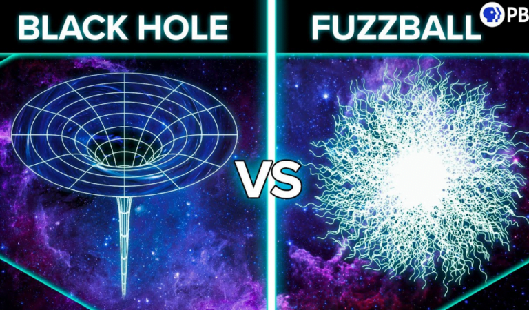 Are Black Holes Actually Fuzzballs?