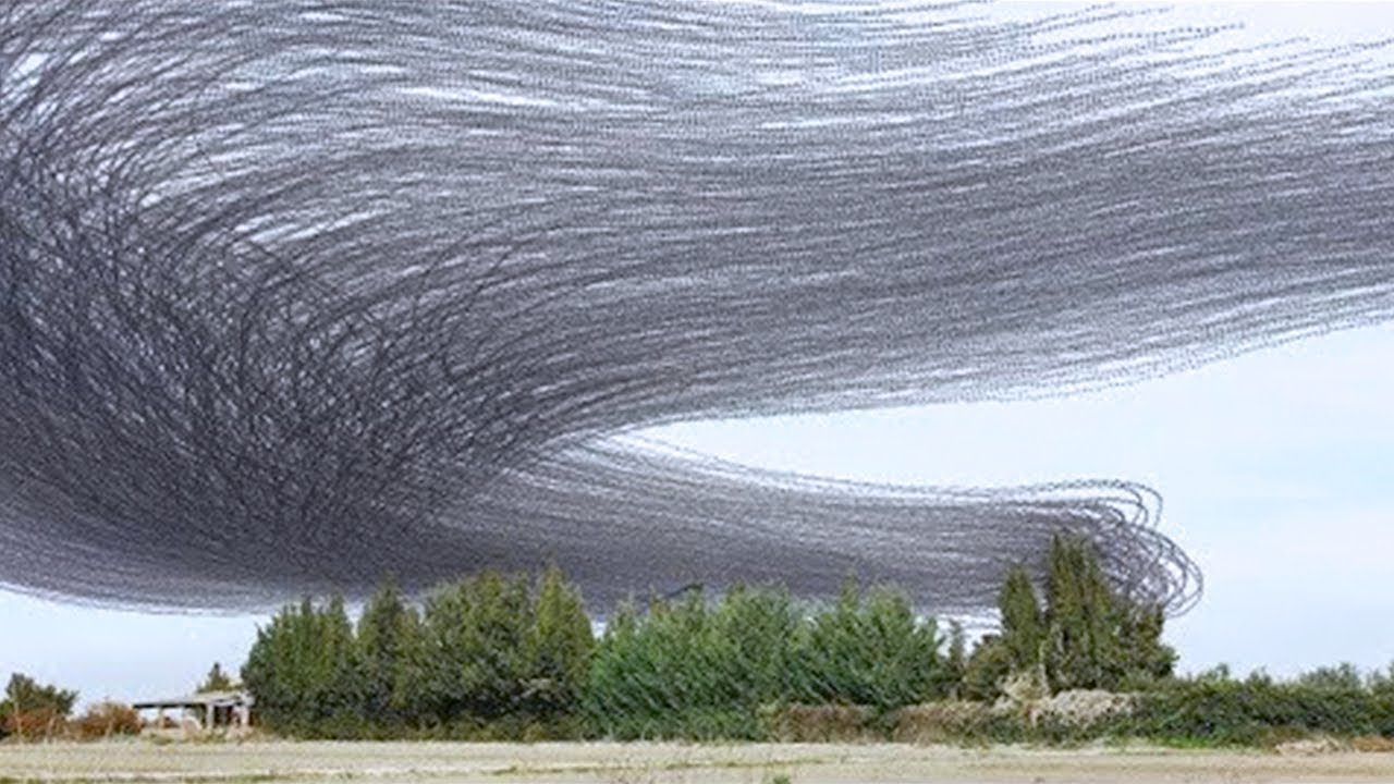 Craziest Natural Phenomena Recorded On Camera