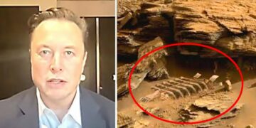 Elon Musk Just Revealed NASAs TERRIFYING Discovery On Mars