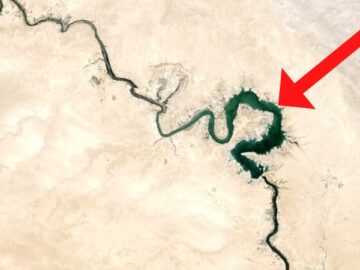 Scientists Terrifying New Discovery In The Euphrates River Shocked The Entire Industry