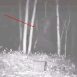 This Ranch Owner Receives A Message From His Trail Camera Telling Him That Something is Watching Him