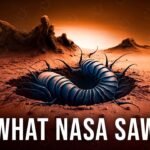 You Wont Believe What NASA Found on Mars