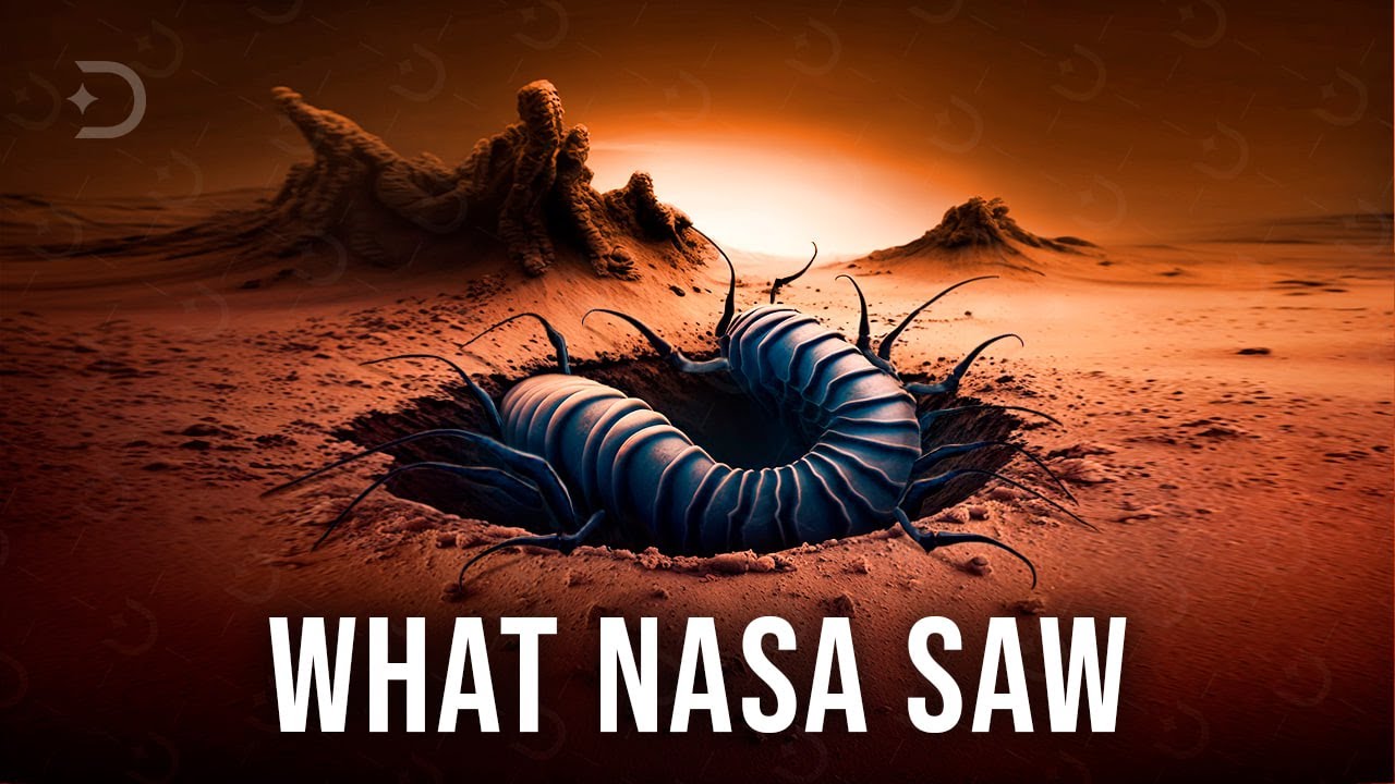You Wont Believe What NASA Found on Mars