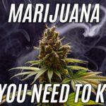Marijuana All Facts And Numbers