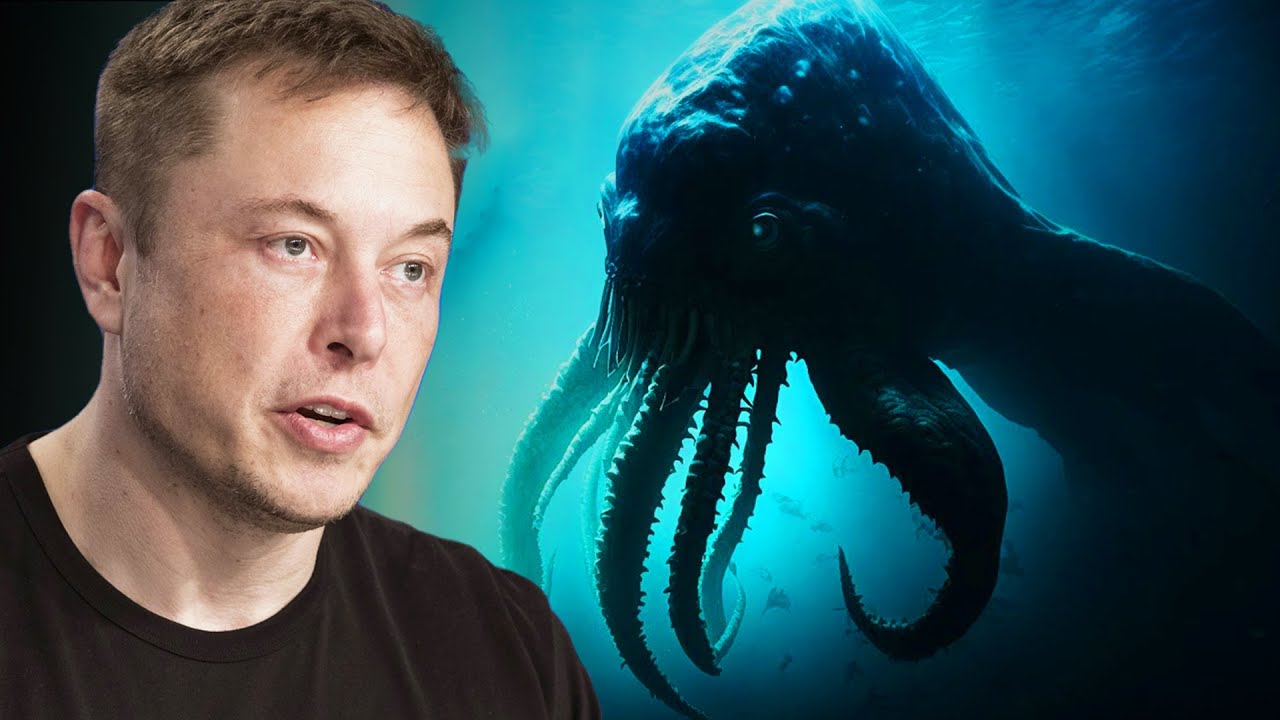 Elon Musk Tells Us What The Navy Saw While Diving in the Arctic