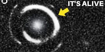 James Webb Telescopes SHOCKING Discovery On 12 Billion Year Old Massive Structure