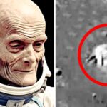 Russian Astronaut Breaks Silence Before His Death And Reveals A PANICKING Secret